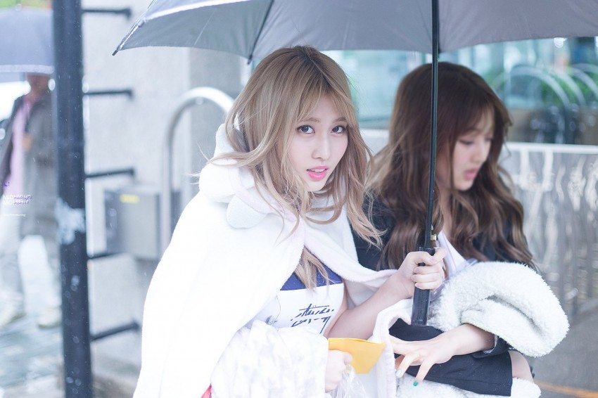 [트와이스] 시크한줄 알았는데 빙구미 쩌는 모구리 모모 짤모음.jpg | 인스티즈