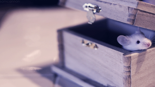  살다가 보면 | 인스티즈