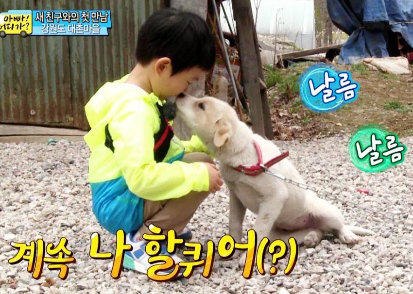 [아빠어디가] 동물이란 동물은 다 좋아하는 것 같은 민율이ㅋㅋ (아기♥동물=힐링) | 인스티즈