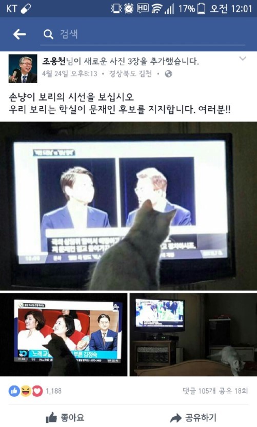 냥집사들 &#128049; (사진 엄청많음 주의) | 인스티즈