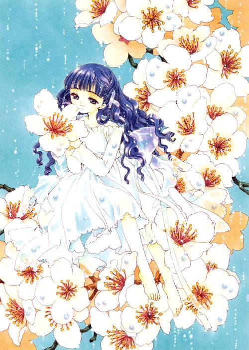 [카드캡터사쿠라] 호두들이 카캡사에서 가장 좋아했던 여성은 누규? | 인스티즈