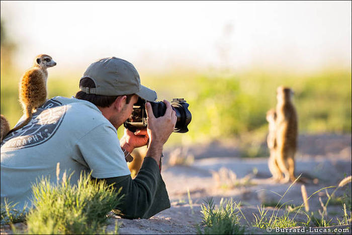 야생 동물 사진 작가의 세계 | 인스티즈