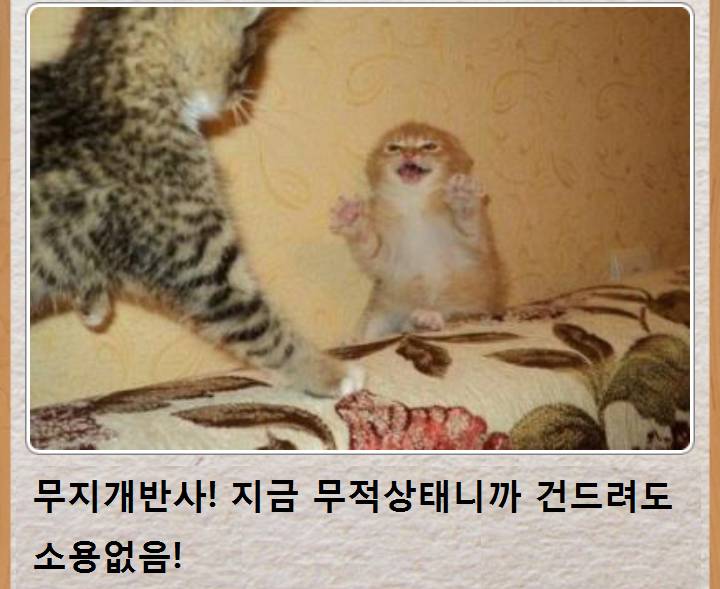 믿고보는 제목학원 | 인스티즈