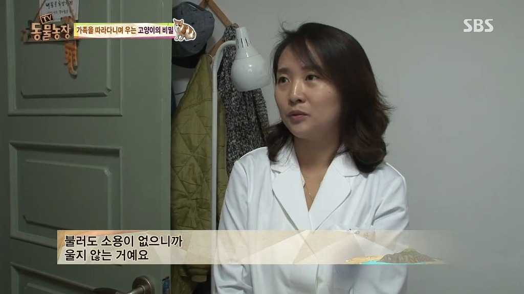 [동물농장] 할말 다 하고 사는 수다쟁이 고양이 쪼롱이ㅋㅋㅋㅋ.jpg | 인스티즈