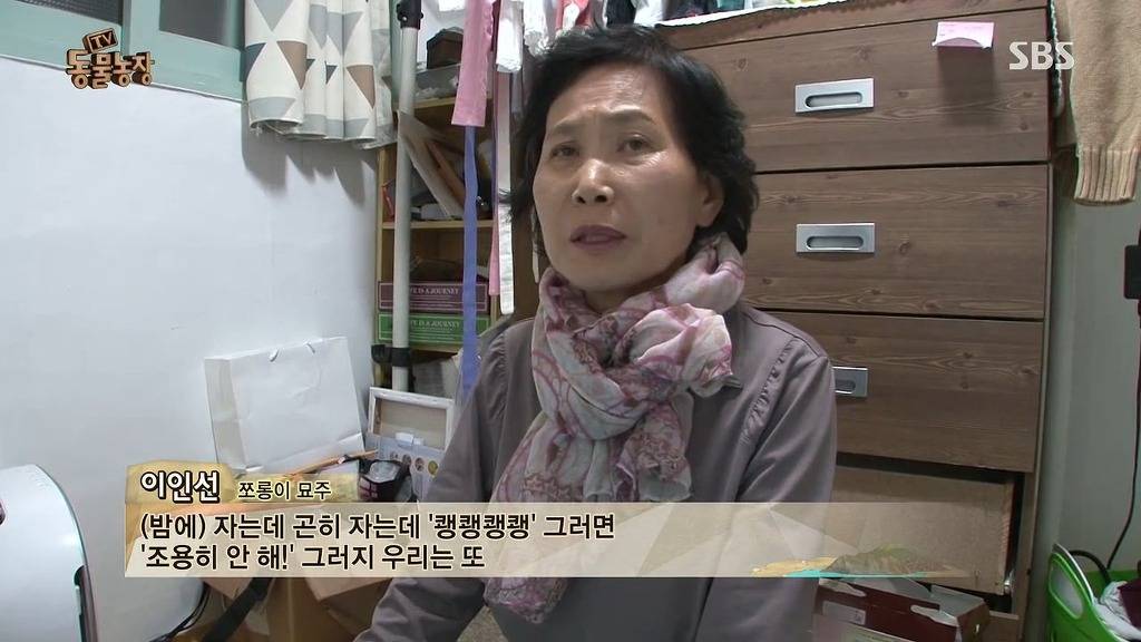 [동물농장] 할말 다 하고 사는 수다쟁이 고양이 쪼롱이ㅋㅋㅋㅋ.jpg | 인스티즈