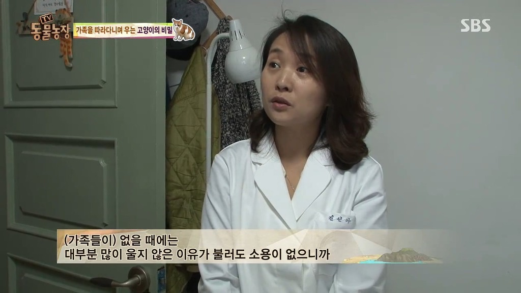 [동물농장] 할말 다 하고 사는 수다쟁이 고양이 쪼롱이ㅋㅋㅋㅋ.jpg | 인스티즈