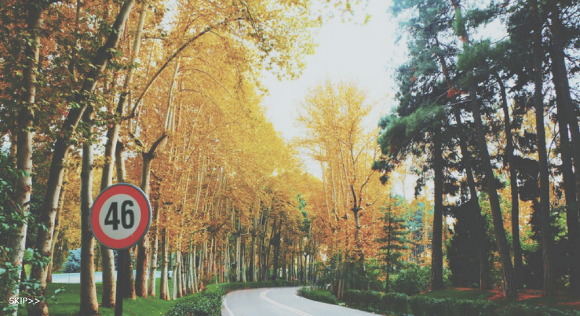 얼굴만 보고 뽑은 걸그룹 | 인스티즈