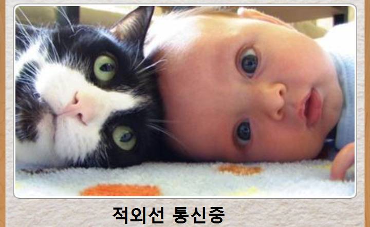 믿고보는 제목학원 | 인스티즈