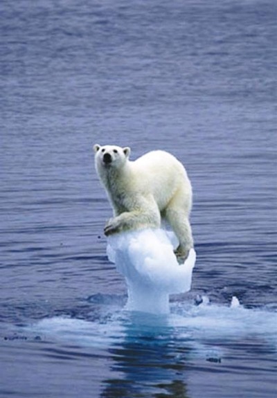 지구의 재앙을 알리는 그림들 | 인스티즈