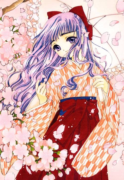 [카드캡터사쿠라] 호두들이 카캡사에서 가장 좋아했던 여성은 누규? | 인스티즈