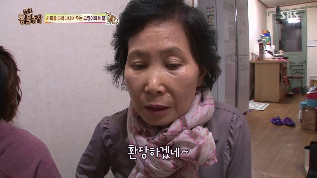 [동물농장] 할말 다 하고 사는 수다쟁이 고양이 쪼롱이ㅋㅋㅋㅋ.jpg | 인스티즈