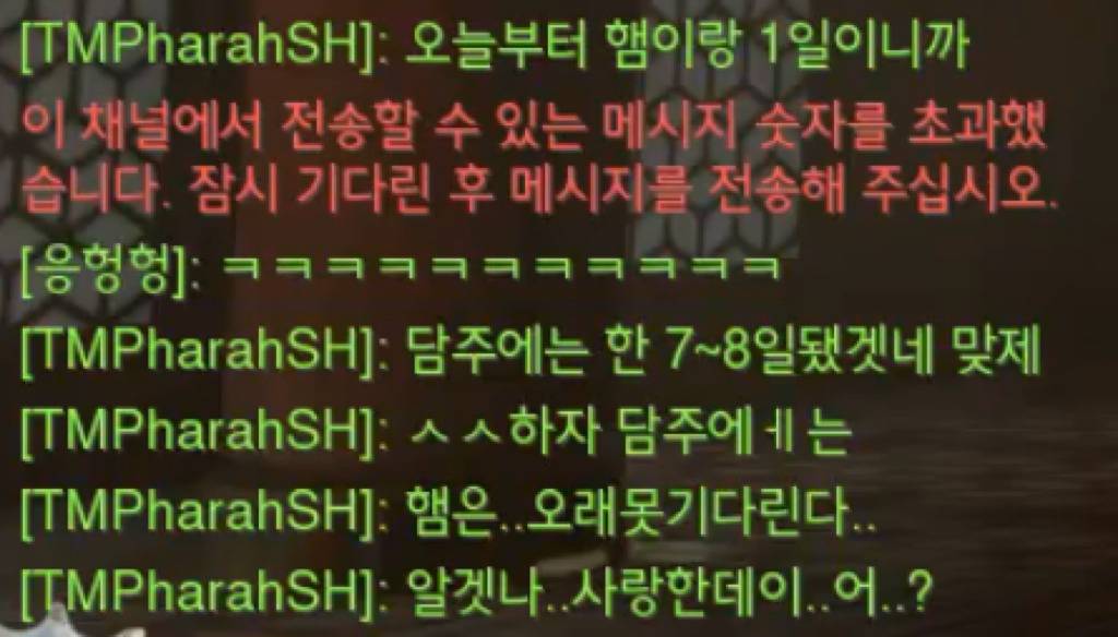 갓춘배에게 간택당한 조신남 (teat.자르시) | 인스티즈