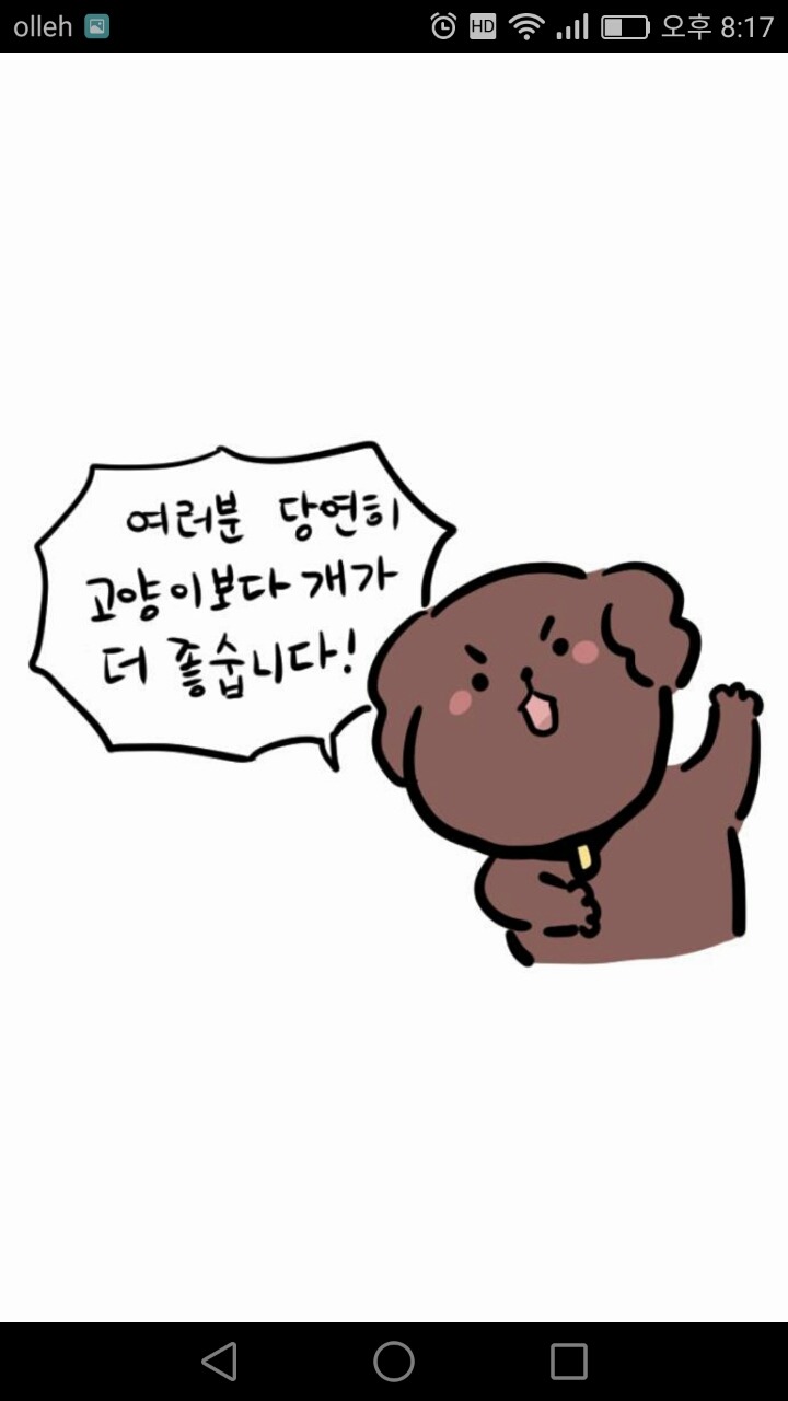 개와 고양이의 차이 (강아지 vs 고양이) | 인스티즈