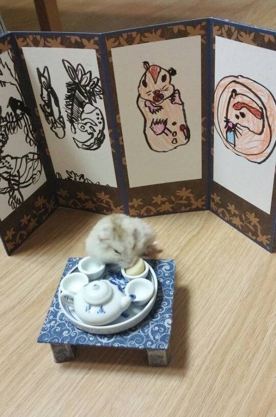 햄스터 생일잔치.jpg | 인스티즈