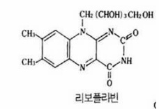 쉽게 이해하는 비타민에 관한 이야기 (1) | 인스티즈