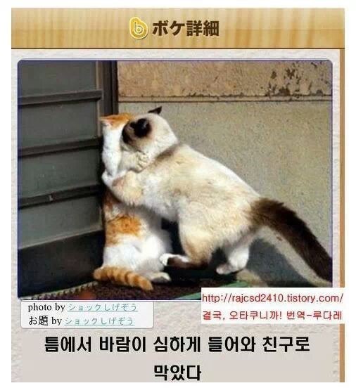 믿고보는 제목학원 | 인스티즈