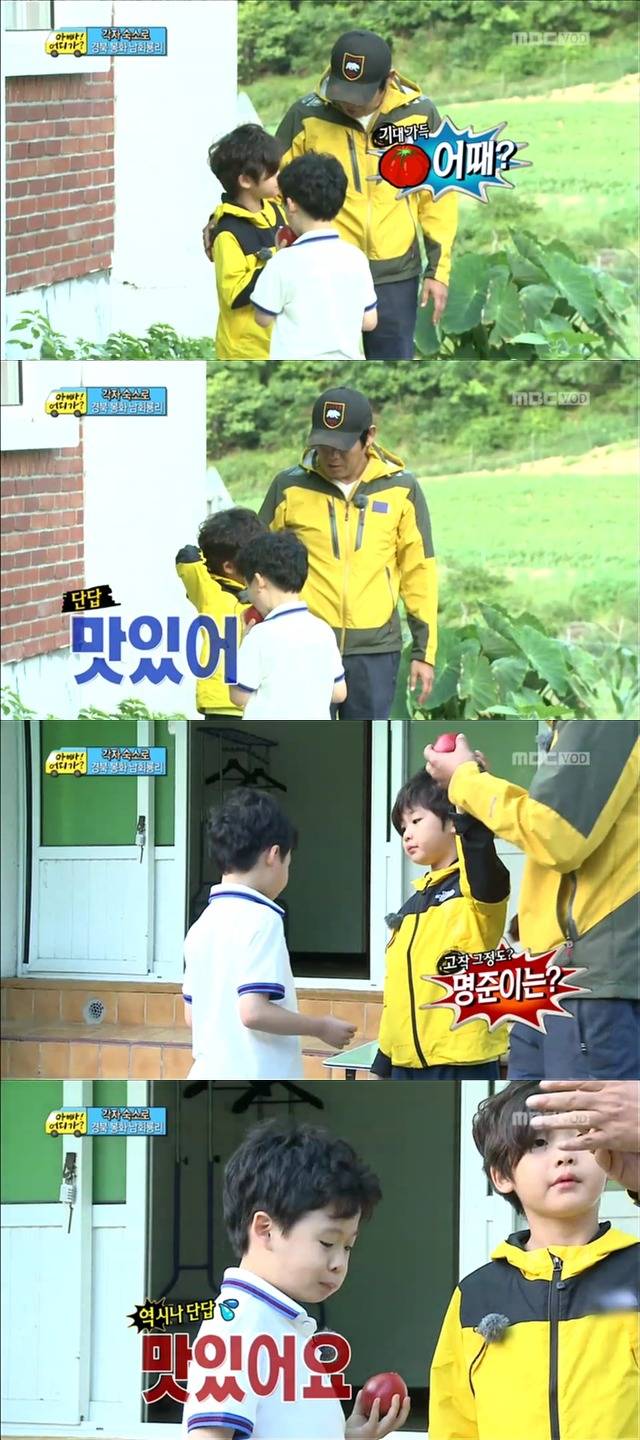 [아빠어디가] 유유상종의 표본이였던 성선비와 홍도인ㅋㅋㅋㅋㅋ.jpg | 인스티즈