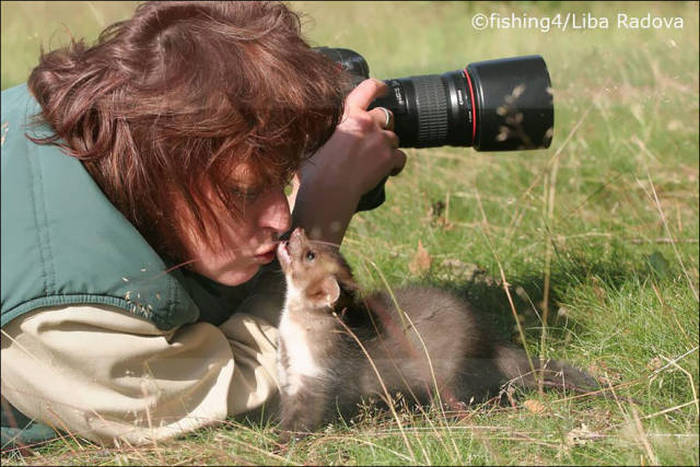 야생 동물 사진 작가의 세계 | 인스티즈