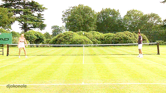 조코비치 슬럼프의 시작점 | 인스티즈