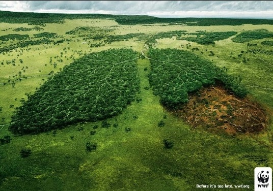 지구의 재앙을 알리는 그림들 | 인스티즈