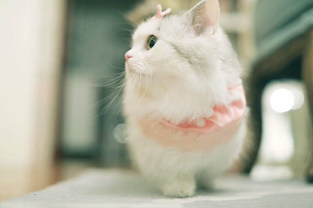 회사에 출근을 못한 이유 | 인스티즈