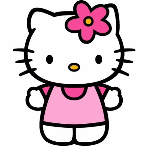 너네 키티 쌍둥이인거 아니? 키티패밀리 프로필 | 인스티즈