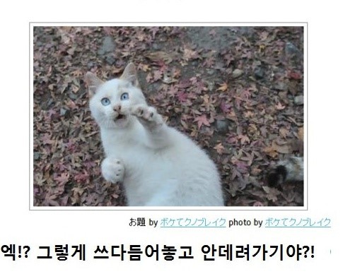 믿고보는 제목학원 | 인스티즈