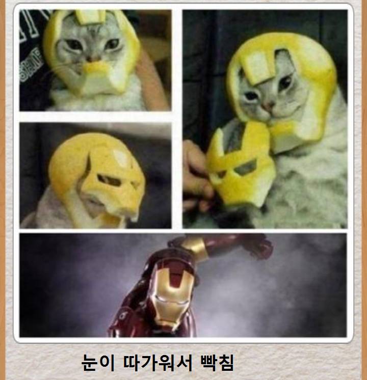 믿고보는 제목학원 | 인스티즈