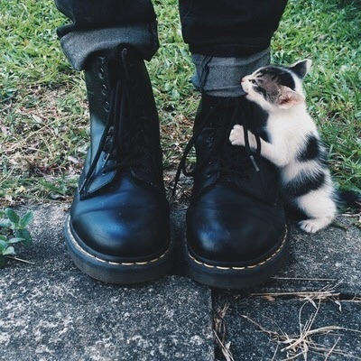 호불호갈리는 브랜드 - 닥터마틴 | 인스티즈