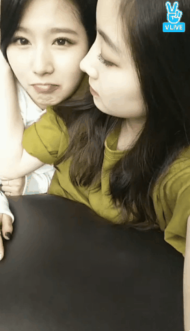 사나 조련하는 다현.gif | 인스티즈