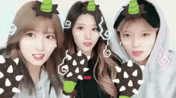 트와이스 96라인 정모사 | 인스티즈