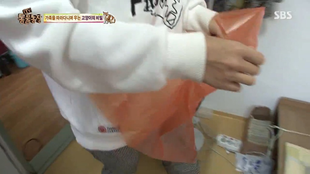 [동물농장] 할말 다 하고 사는 수다쟁이 고양이 쪼롱이ㅋㅋㅋㅋ.jpg | 인스티즈