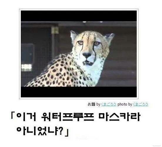 믿고보는 제목학원 | 인스티즈