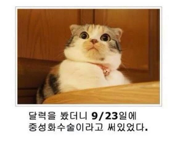 믿고보는 제목학원 | 인스티즈