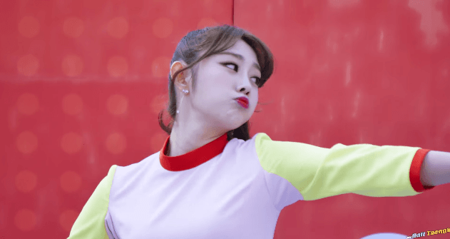 끼부리는 사막여우.gif | 인스티즈