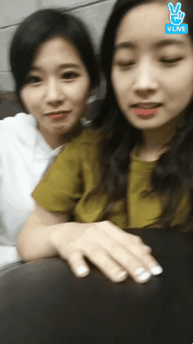 사나 조련하는 다현.gif | 인스티즈