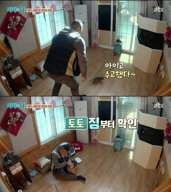 [마리와나] 케미가 냥냥 터지는 강호동과 새끼 고양이 토토.jpg | 인스티즈