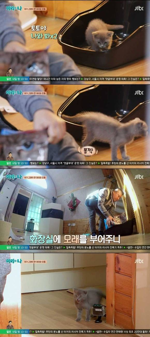 [마리와나] 케미가 냥냥 터지는 강호동과 새끼 고양이 토토.jpg | 인스티즈