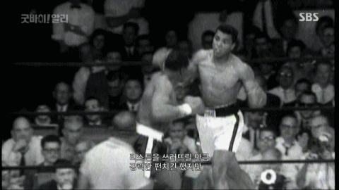 때리는걸 아무도 보지 못했다는 펀치 | 인스티즈