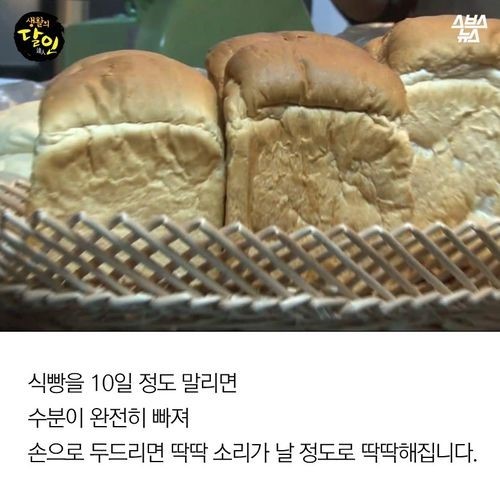 빵 하나를 만드는 데 열흘이 걸리는 빵집 | 인스티즈