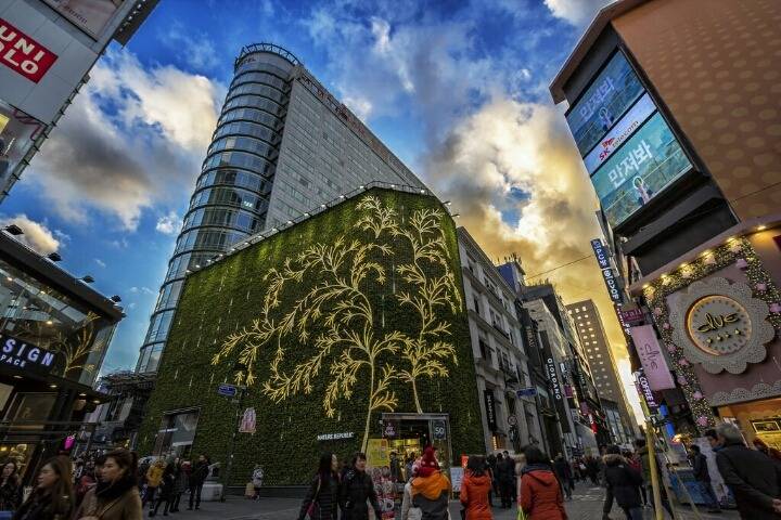 외국인이 찍은 한국 감성사진.jpg(여러장의사진주의) | 인스티즈