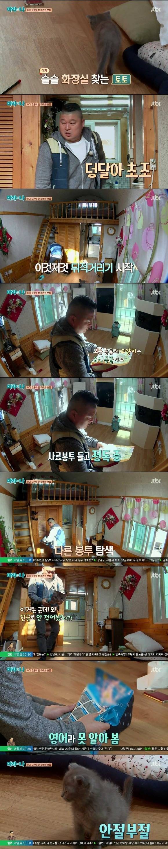 [마리와나] 케미가 냥냥 터지는 강호동과 새끼 고양이 토토.jpg | 인스티즈