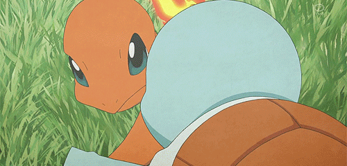 꼬부기는 사랑입니다(데이터주의) | 인스티즈