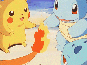 꼬부기는 사랑입니다(데이터주의) | 인스티즈