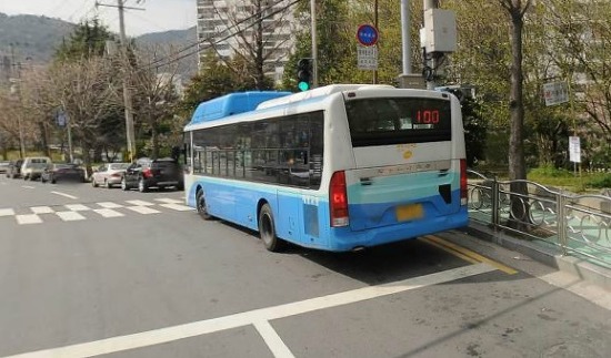 우리나라 각 지역별 이용객이 가장 많은 시내버스는? | 인스티즈