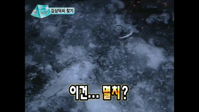 [무한도전] 놔 줄 테니까 부모님 모시고 와 | 인스티즈