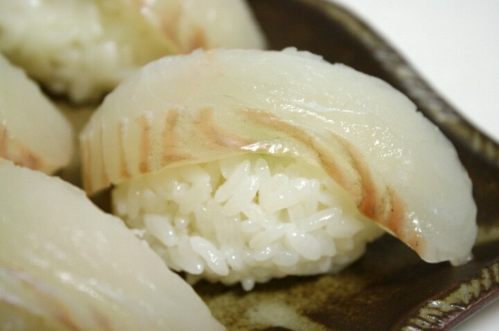 쫄깃하고 고소한 광어초밥 vs 부드럽고 기름진 연어초밥 | 인스티즈