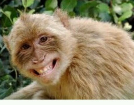 혈액형 A형 B형인 사람들이 조심해야 하는 이유 | 인스티즈