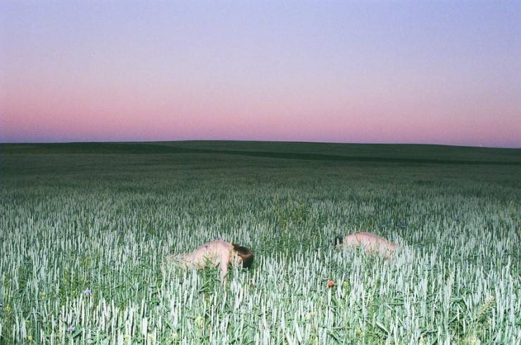 일렉트릭한 색채의 우크라이나 패션 사진작가 . jpg | 인스티즈