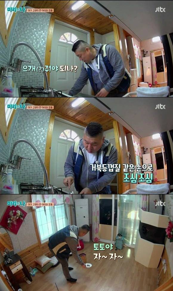 [마리와나] 케미가 냥냥 터지는 강호동과 새끼 고양이 토토.jpg | 인스티즈